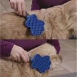 Grooming Brush