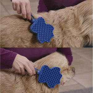 Grooming Brush