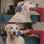 Grooming Brush