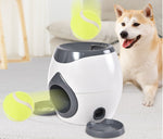 Smart Pet Feeder Tennis Ball Throwing Machine