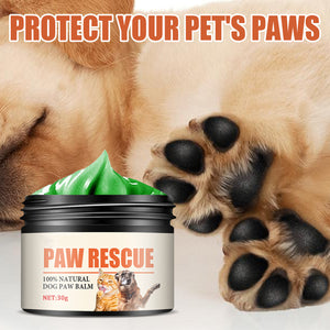 Paw Care Cream